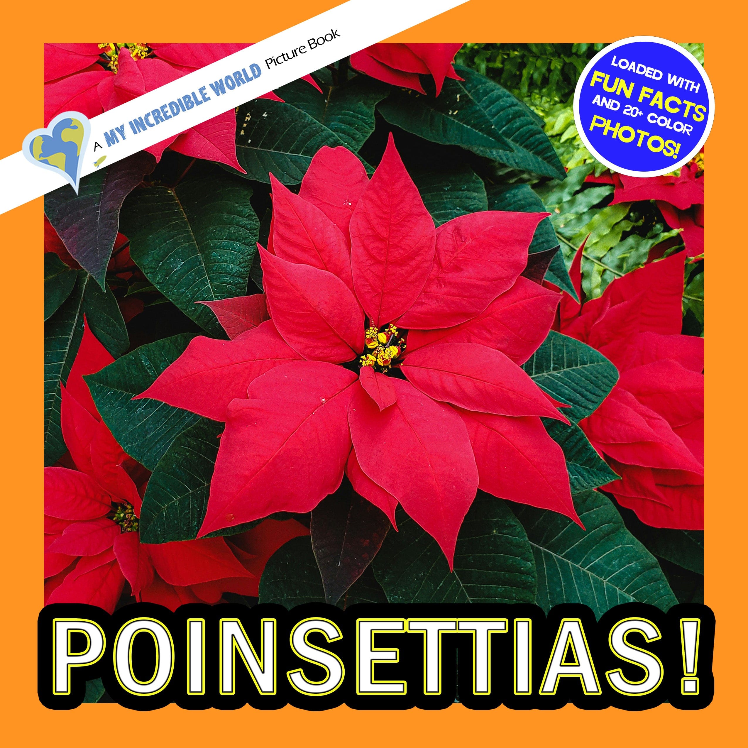 Poinsettias! A My Incredible World Picture Book for Children